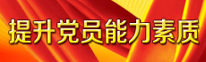 提升党员能力素质
